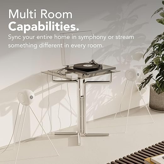 71PrD65xVRL._AC_SX522